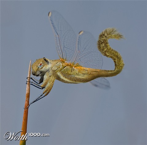 Photoshop Design by elhombreinvisible