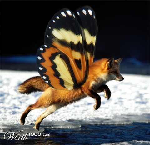 Photoshop Design by LookAndSee