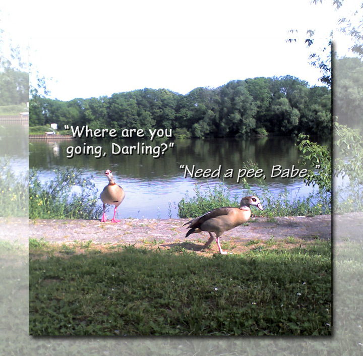 Fotografía por claudime para DesignCrowd (Community Contests) | Diseño #8996095