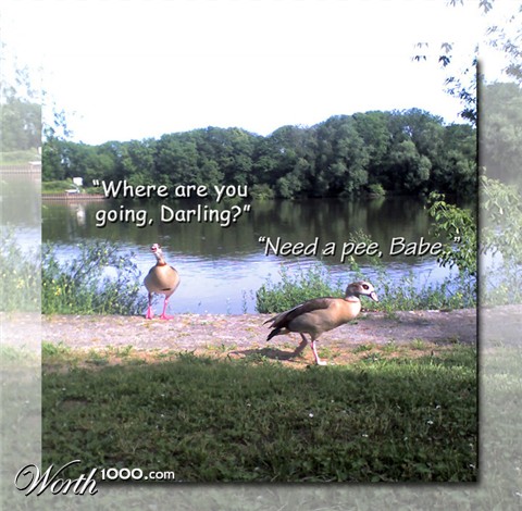 Photography by claudime