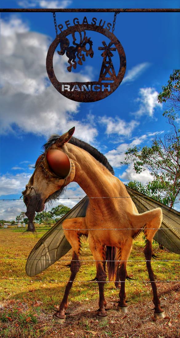 Photoshop Design by HopePhoto for DesignCrowd (Community Contests) | Design #8991897