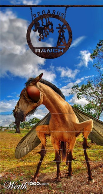 Photoshop Design by HopePhoto