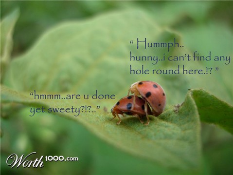 Photography by shieldchild