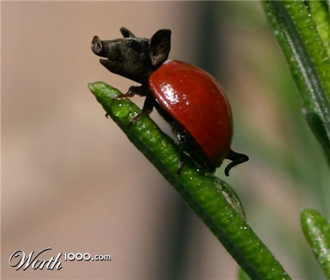 Photoshop Design by cisfer