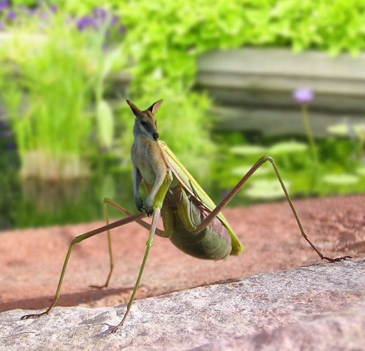 Photoshop Design by doehlman for DesignCrowd (Community Contests) | Design #8992007