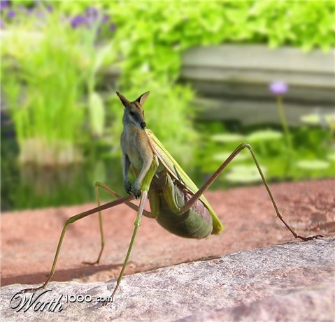 Photoshop Design by doehlman