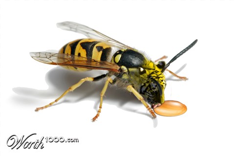 Photoshop Design by AlastairI