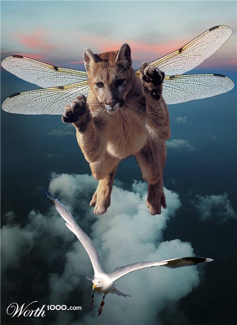 Photoshop Design by Louweasel