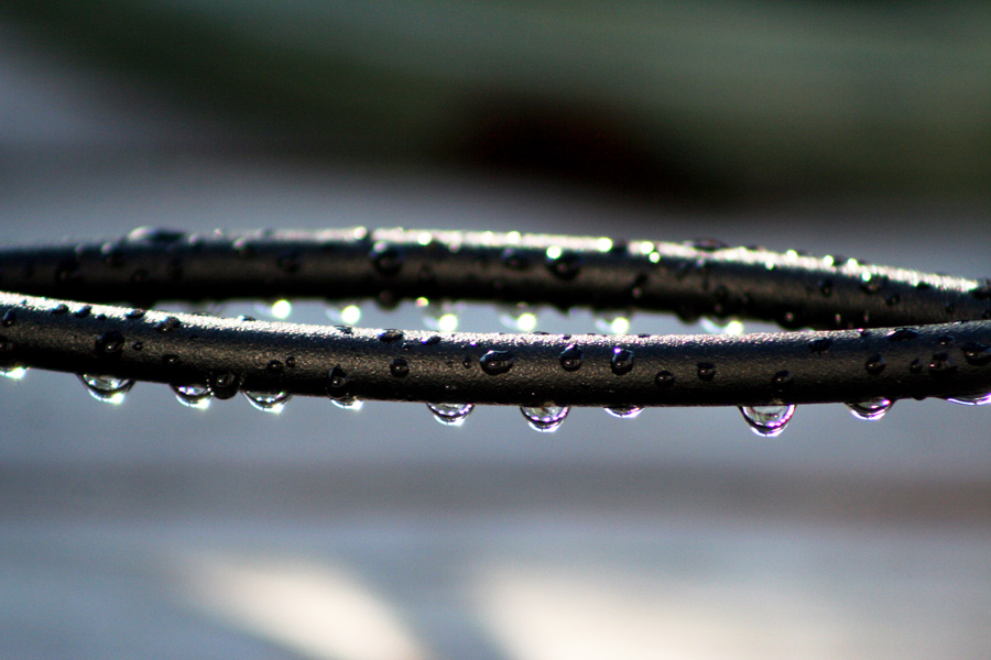 Photography by heidiinc for DesignCrowd (Community Contests) | Design #8991575