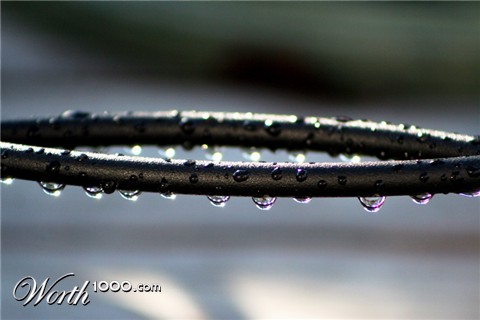 Photography by heidiinc