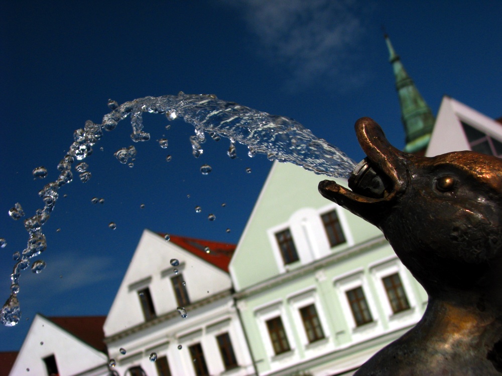 Photography by slawkis for DesignCrowd (Community Contests) | Design #8991571