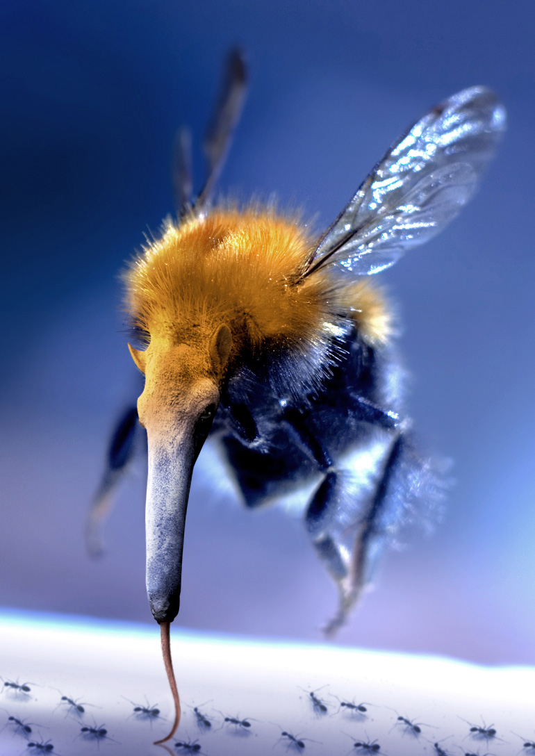 Photoshop Design by ThreeProngs for DesignCrowd (Community Contests) | Design #8991984