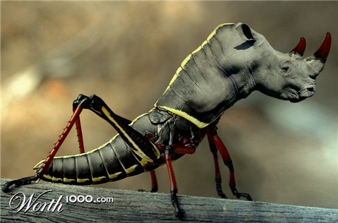 Photoshop Design by DutchPuh