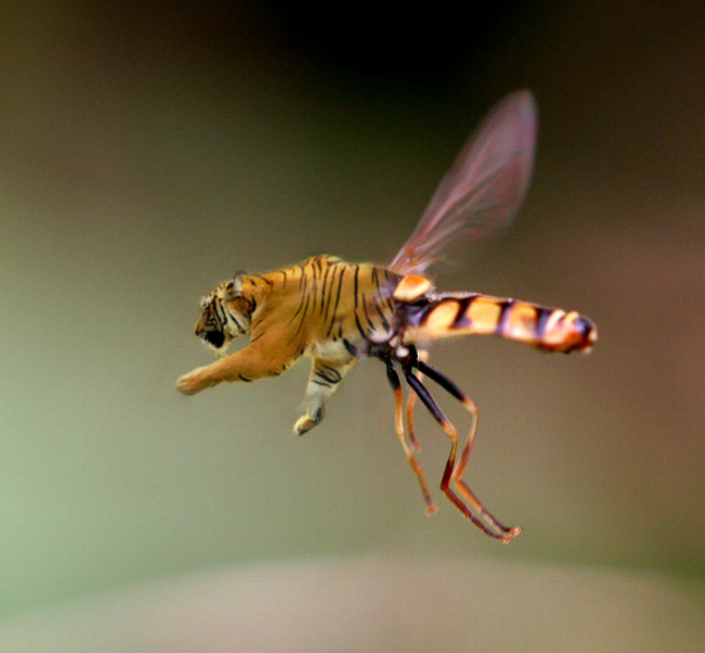 Diseño de Photoshop por sizeuk para DesignCrowd (Community Contests) | Diseño #8992023