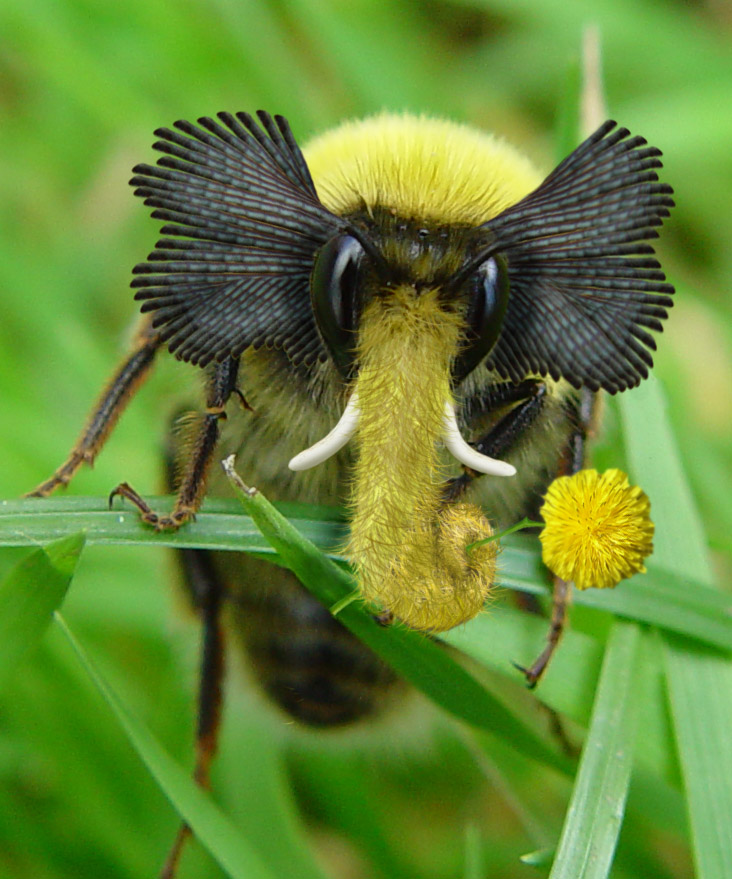 Diseño de Photoshop por nome63 para DesignCrowd (Community Contests) | Diseño #8992069