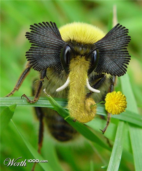 Photoshop Design by nome63