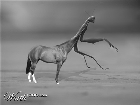 Photoshop Design by FearNLoath