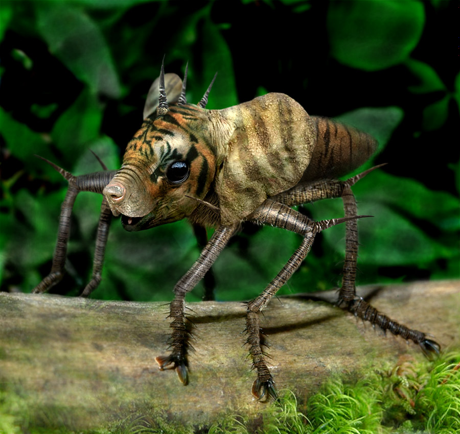 Photoshop Design by ozplasmic for DesignCrowd (Community Contests) | Design #8992078