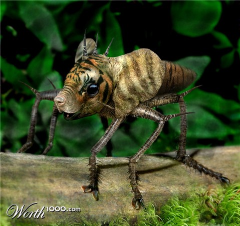 Photoshop Design by ozplasmic