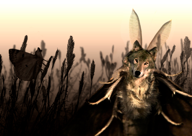 Photoshop Design by straaz for DesignCrowd (Community Contests) | Design #8992178