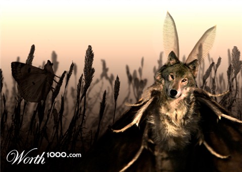 Photoshop Design by straaz