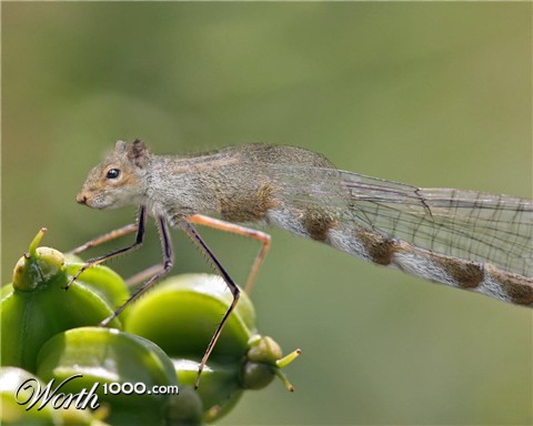 Photoshop Design by PaperBoi78