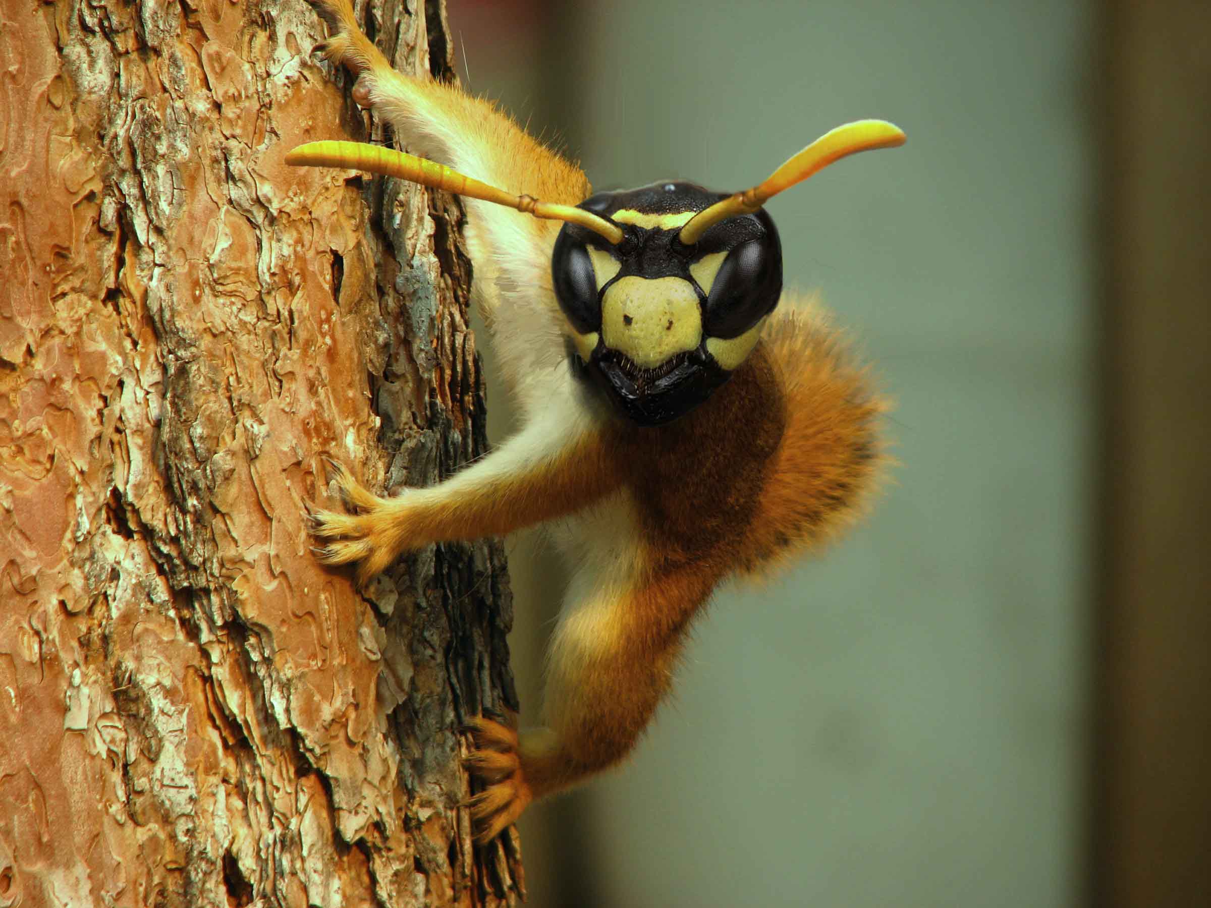 Photoshop Design by denniswitjes for DesignCrowd (Community Contests) | Design #8992099