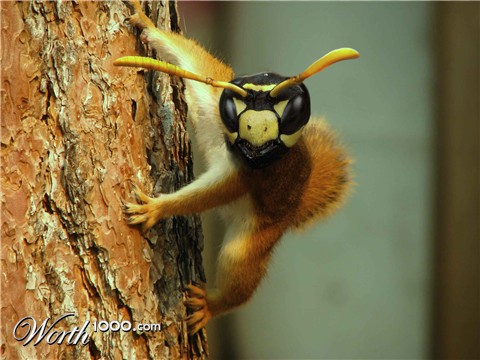 Photoshop Design by denniswitjes