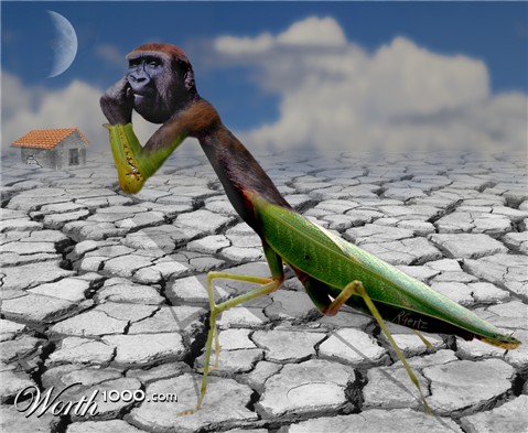 Photoshop Design by RobGertzman