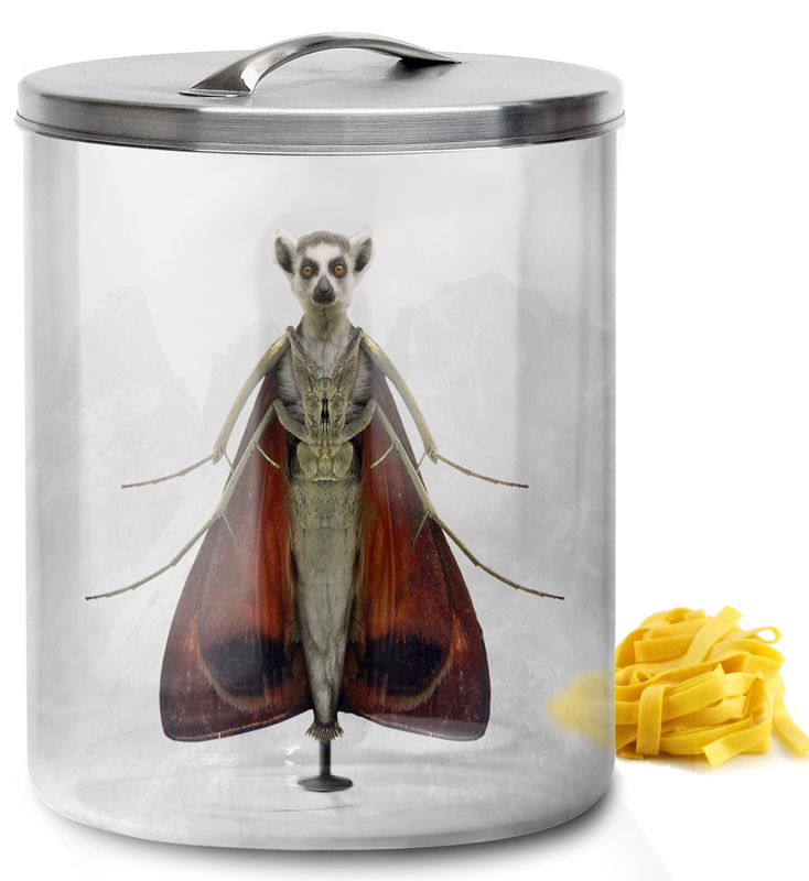 Photoshop-Design von DjangoLizell für DesignCrowd (Community Contests) | Design #8992108