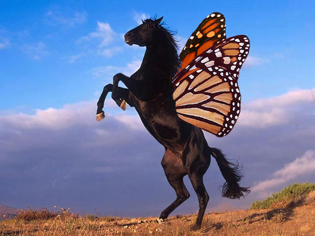 Photoshop Design by rosemountmn for DesignCrowd (Community Contests) | Design #8992135