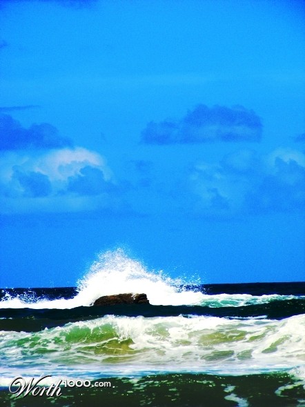 Photography by shoz95