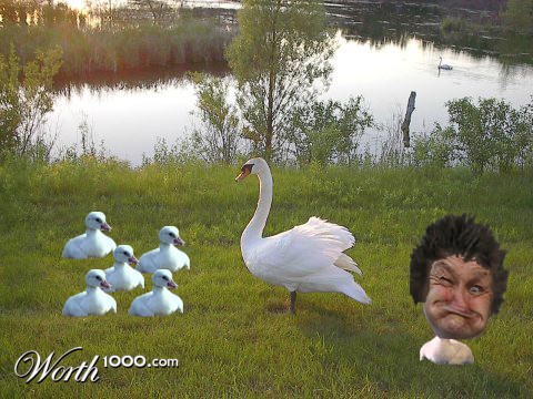 Photoshop Design by tjoseph2011