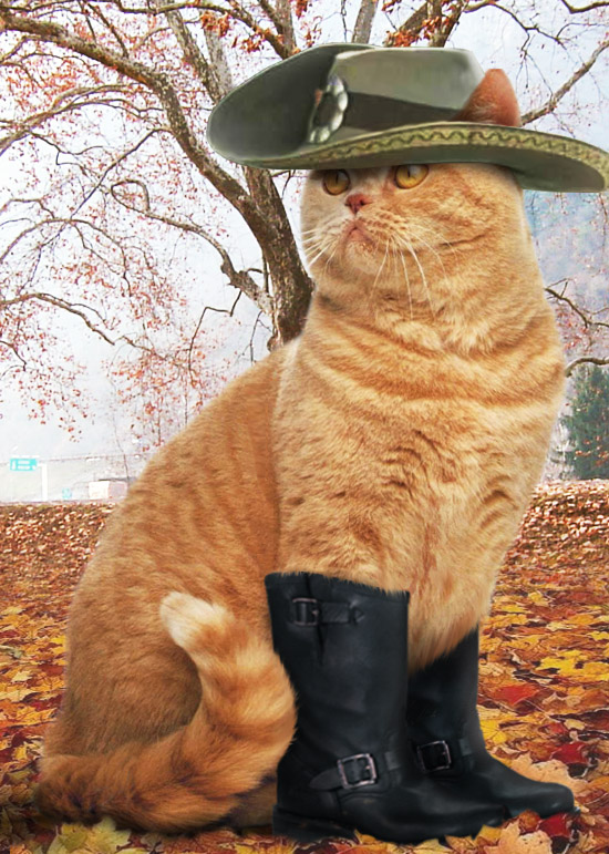 Design Photoshop par Pigia1975 pour DesignCrowd (Community Contests) | Design #8991478