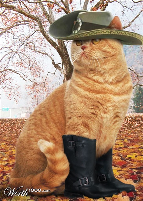 Photoshop Design by Pigia1975