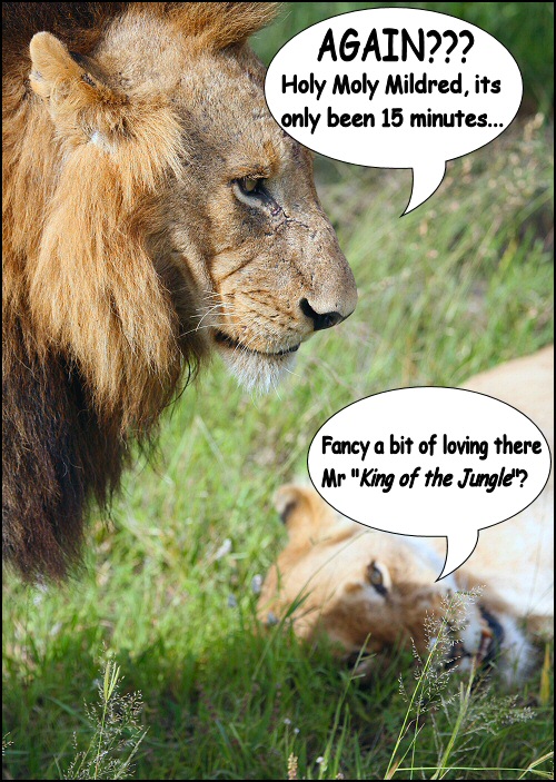 Photography by Juicer for DesignCrowd (Community Contests) | Design #8996062