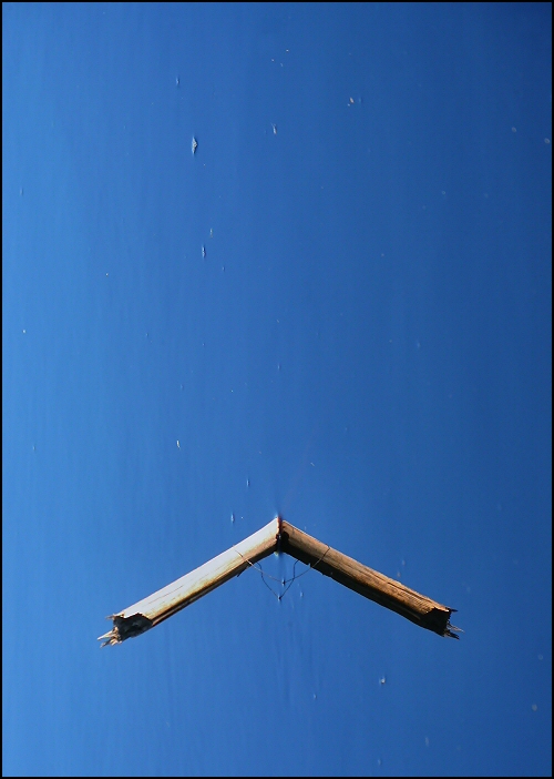 Photographie par Juicer pour DesignCrowd (Community Contests) | Design #8994669