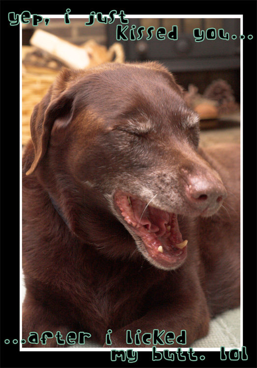 Fotografie von Redbull_UK für DesignCrowd (Community Contests) | Design #8996097