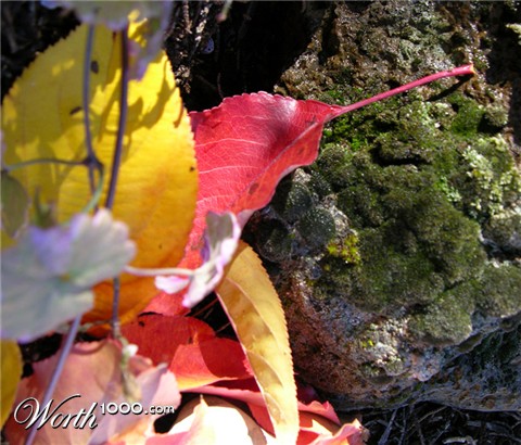 Photography by cliknsnap