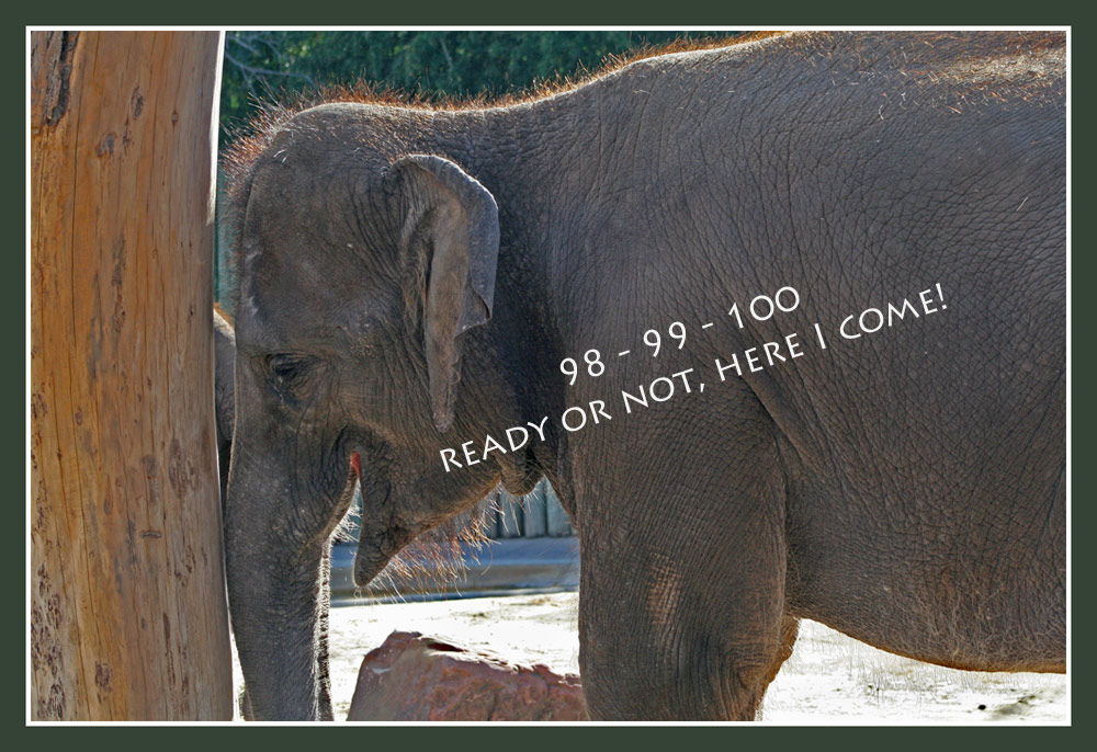 Photography by cridley for DesignCrowd (Community Contests) | Design #8996140