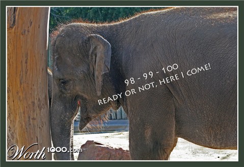 Photography by cridley