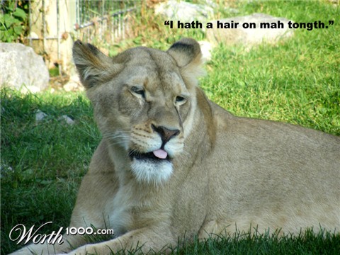 Photography by FamousAsset