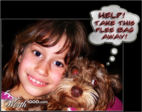 Photography by GreyElf