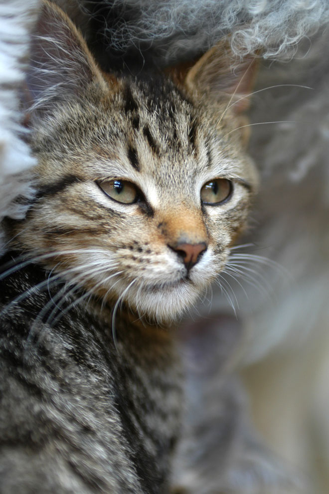 Photographie par skipperw pour DesignCrowd (Community Contests) | Design #8994688