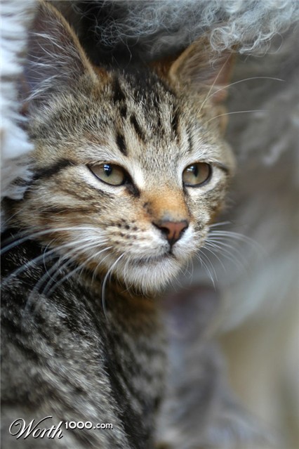 Photography by skipperw