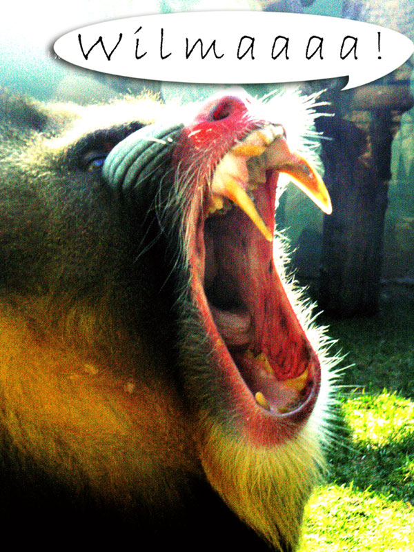 Photography by AsierReisa for DesignCrowd (Community Contests) | Design #8996113