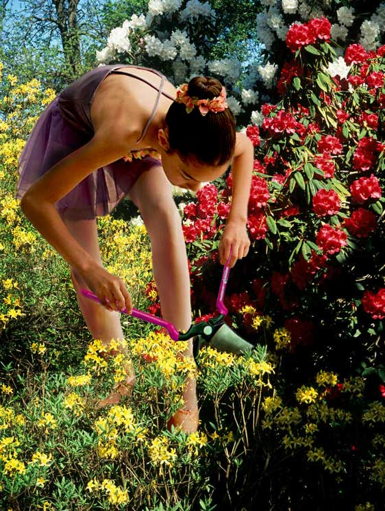 Design Photoshop par endemoniau pour DesignCrowd (Community Contests) | Design #8992663