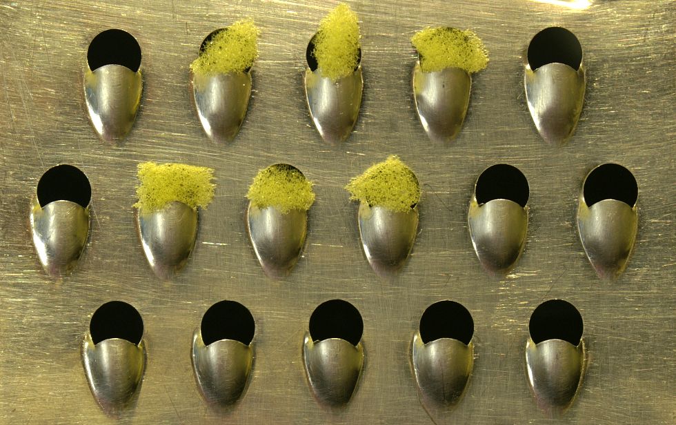 Photography by coflynn for DesignCrowd (Community Contests) | Design #8992871