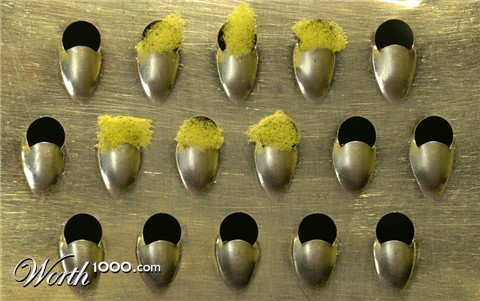 Photography by coflynn