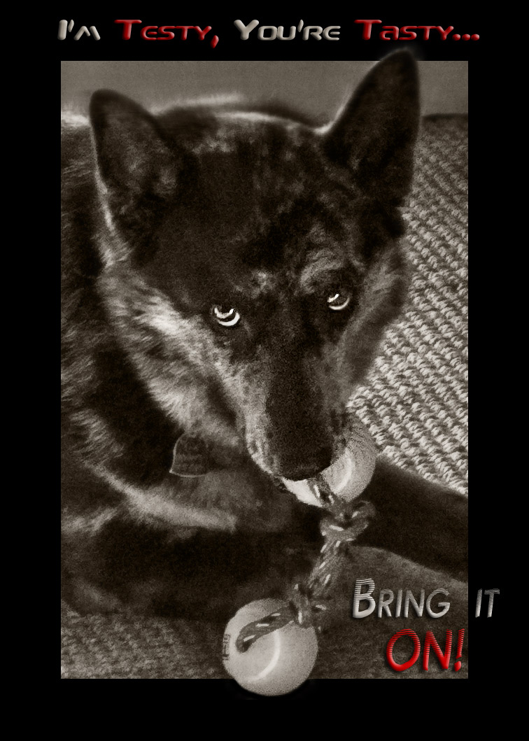 Photography by GoldenWreckedAngle for DesignCrowd (Community Contests) | Design #8996143